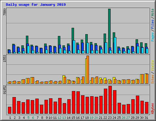 Daily usage for January 2019