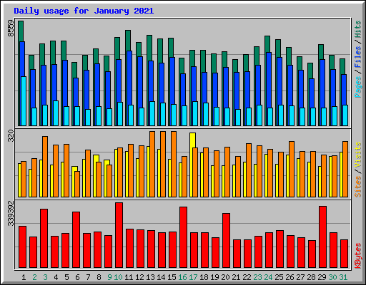 Daily usage for January 2021