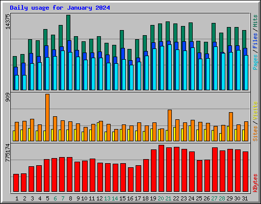 Daily usage for January 2024