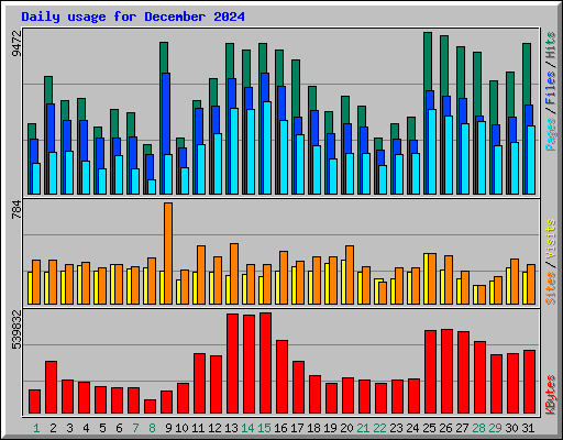 Daily usage for December 2024