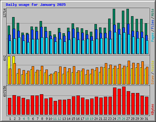 Daily usage for January 2025