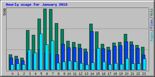 Hourly usage for January 2019