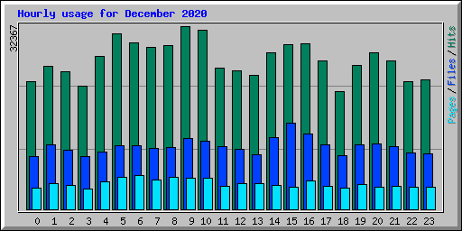 Hourly usage for December 2020