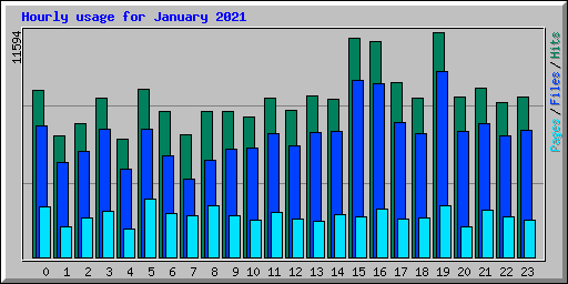 Hourly usage for January 2021