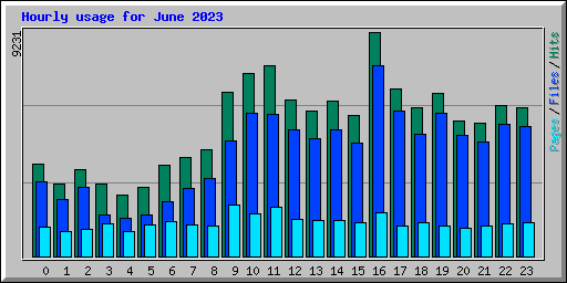 Hourly usage for June 2023