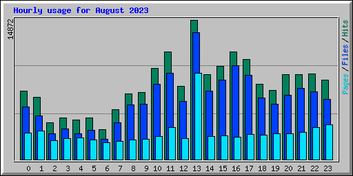 Hourly usage for August 2023
