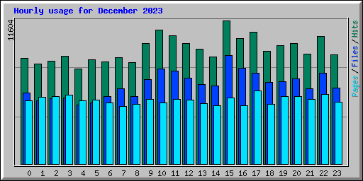 Hourly usage for December 2023