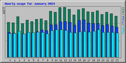 Hourly usage for January 2024