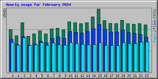 Hourly usage for February 2024