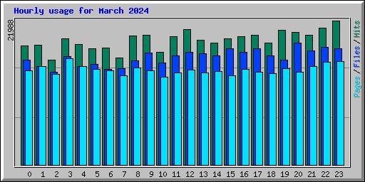 Hourly usage for March 2024