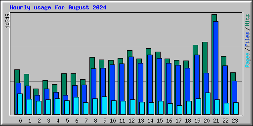 Hourly usage for August 2024