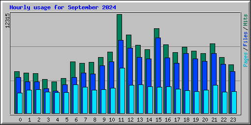Hourly usage for September 2024
