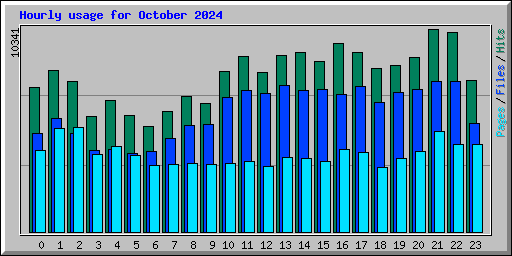Hourly usage for October 2024
