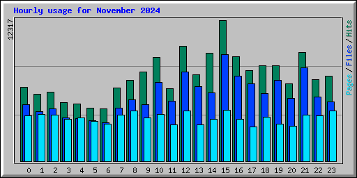 Hourly usage for November 2024