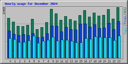 Hourly usage for December 2024