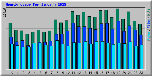 Hourly usage for January 2025
