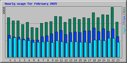 Hourly usage for February 2025