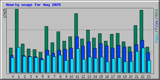 Hourly usage for May 2025