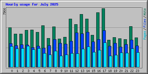 Hourly usage for July 2025
