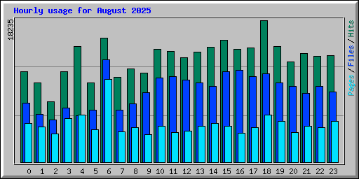 Hourly usage for August 2025