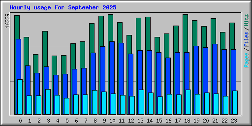 Hourly usage for September 2025