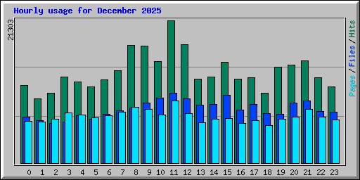 Hourly usage for December 2025