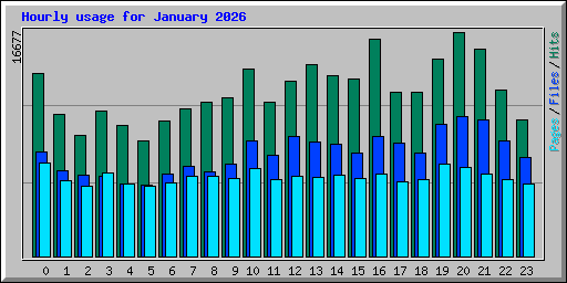 Hourly usage for January 2026