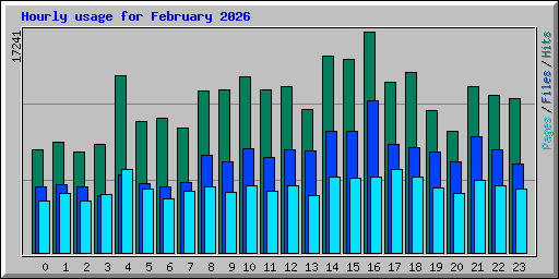 Hourly usage for February 2026
