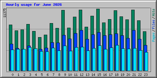 Hourly usage for June 2026