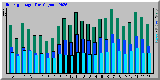 Hourly usage for August 2026