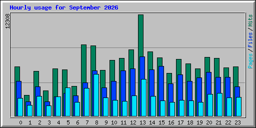 Hourly usage for September 2026